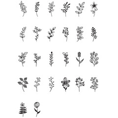Leaf Svg, Floral svg, Flower Svg, Branches Svg, Leaves Svg, Botanical Svg, Botanical Svg Bundle, Vectors & Illustrations