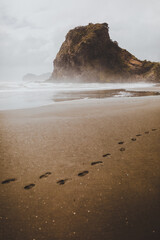 Human footprints in the sand on a beach in New Zealand