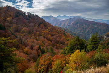 紅葉する山