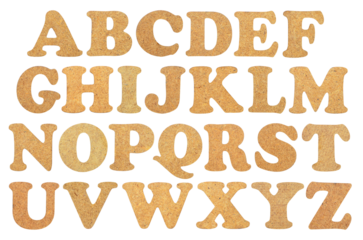 Wooden letters alphabet without shadows isolated on transparent background