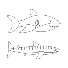 Set of marine elements of fish, shark in flat cartoon style. Line art.
