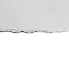 ripped paper on white background