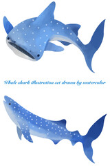 水彩で描いたジンベイザメのイラストセット／Illustration set of whale shark painted by watercolor