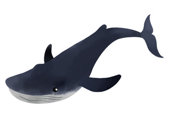 水彩で描いたクジラのイラスト素材／Whale illustration material drawn by watercolor