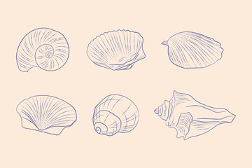 seachells vintage hand drawn vector illustrations