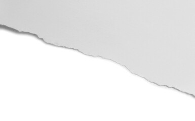 ripped paper on white background