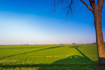 Huge field as far as the eye can see with the setting sun on the horizon. The warm light of the sun casts long shadows across the field. Lower Saxony, Germany.