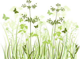 Fototapeta na wymiar Green vector background with wildflowers and butterflies
