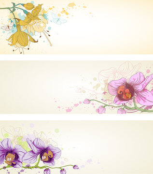 Vector floral banners with butterflies and orchids