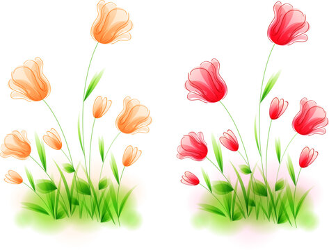 Red and orange vector tulips on a white background