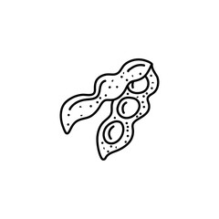Soy bean, Soybean vector illustration. Soybean engraving isolated on white background.