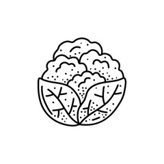 A black and white drawing of a cabbage. cauliflower doodle. cauliflower vector, cabbage doodle