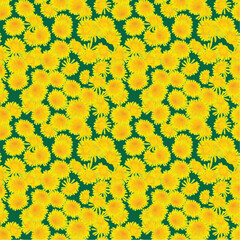 seamless pattern - yellow dandelions on a meadow