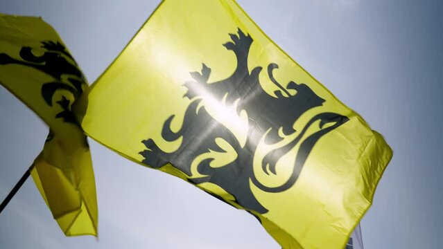 Cinematic slow motion shot of the Flag of Flanders against sunlight ray during protest rally in Brussels, Belgium