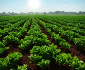Fototapeta na wymiar organic vegetable farm daylight generative ai illustration art