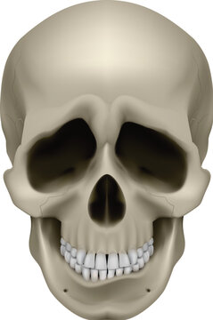 Freaky Human Skull. The emotion of sadness. Illustration on white.