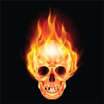 Scary skull on fire. Illustration on black background