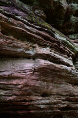 impressions from a hike through a beautiful natural forest