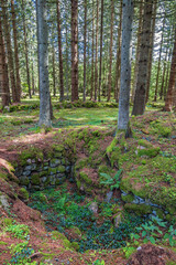 Fototapety na wymiar - Fototapeta24.pl