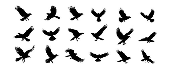 Fototapeta na wymiar Eagle silhouette vector set isolated on white background. Flying wildlife birds design vector illustration