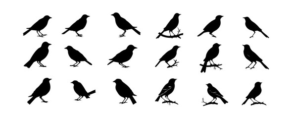 Obraz na płótnie Canvas Birds silhouettes. Black bird outline shapes isolated on white background. Vector illustration