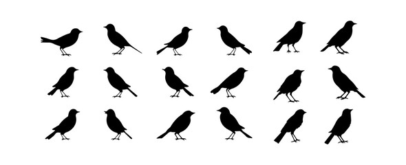 Obraz na płótnie Canvas Birds silhouettes. Black bird outline shapes isolated on white background. Vector illustration