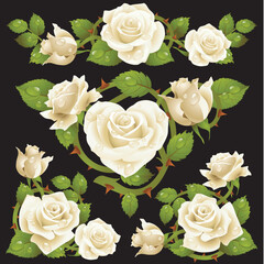 White Rose design elements