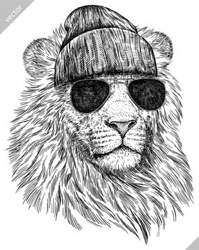 Vintage engraving isolated lion king set glasses dressed fashion illustration ink sketch. Africa wild cat background animal silhouette sunglasses hipster hat art. Hand drawn vector image