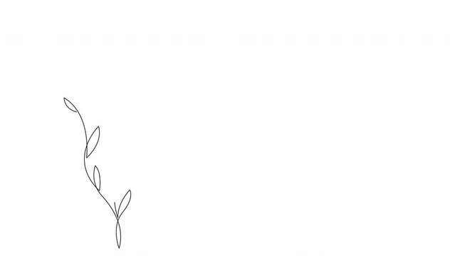 Self drawing animation of continuous line woman body silhouette with leaves. Animated modern one line art style female figure, cosmetology concept.