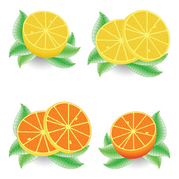 sliced orange and lemon against white background, abstract vector art illustration; image contains transparency