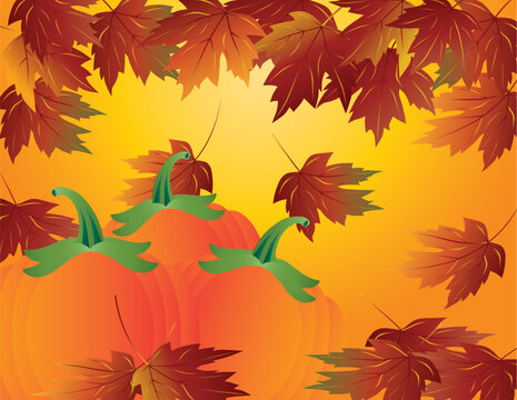 Pumpkin Patch and Maple Tree Leaves Falling in Autumn Season Illustration