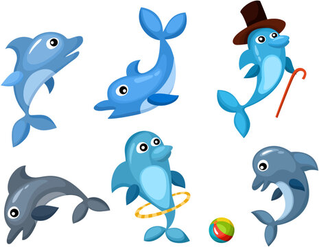 vector illustration of a dolphin set
