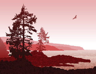 Inspiring illustration of the rugged west coast of Vancouver Island © Designpics