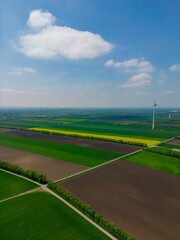 Windkraftanlagen mit Rapsfeld von oben