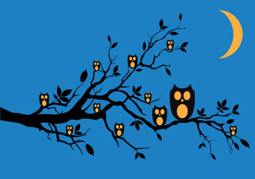Night owls sitting on tree branch, vector background