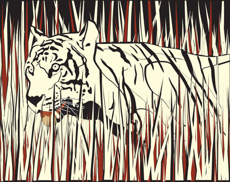 Vector illustration of a tiger prowling through dry grass