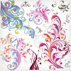 illustration drawing of floral design elements