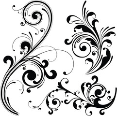 illustration drawing of floral design elements