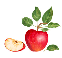 Red apple elements. Fresh, tasty apple with slice and leaves. All elements are isolated and editable. Hand-drawn illustration with markers and watercolor.
