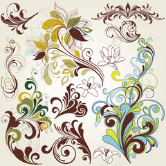 illustration drawing of floral design elements