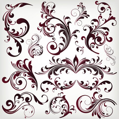illustration drawing of floral design elements