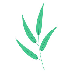 Bamboo, willow branch with leaves illustration. Hand drawn flat style vector, isolated. Plant, foliage, botanical design element, Asian flora