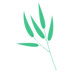 Bamboo, willow branch with leaves illustration. Hand drawn flat style vector, isolated. Plant, foliage, botanical design element, Asian flora