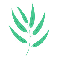 Bamboo, willow branch with leaves illustration. Hand drawn flat style vector, isolated. Plant, foliage, botanical design element, Asian flora