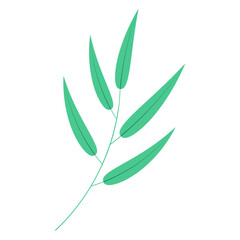 Bamboo, willow branch with leaves illustration. Hand drawn flat style vector, isolated. Plant, foliage, botanical design element, Asian flora