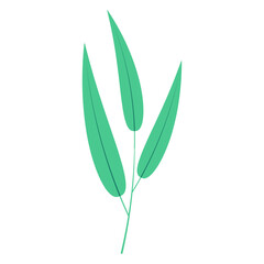 Obraz premium Bamboo, willow branch with leaves illustration. Hand drawn flat style vector, isolated. Plant, foliage, botanical design element, Asian flora