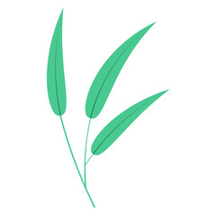 Bamboo, willow branch with leaves illustration. Hand drawn flat style vector, isolated. Plant, foliage, botanical design element, Asian flora