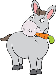 Illustration of the donkey on white background