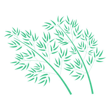 Bamboo trees illustration. Hand drawn flat style vector, isolated. Plant, foliage, botanical design element, Asian flora