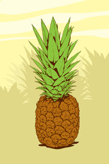 High detailed illustration of a pineapple